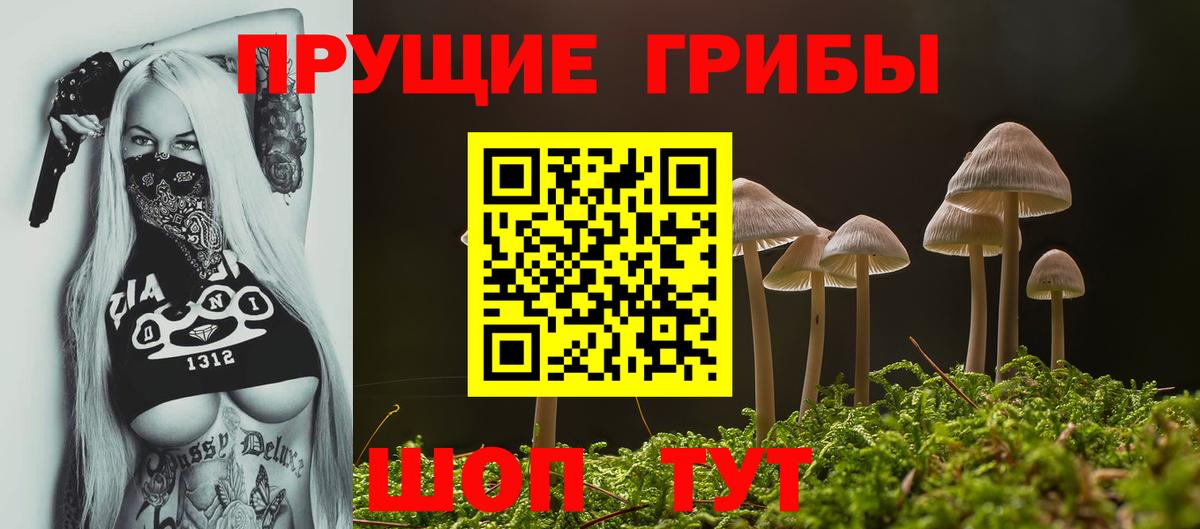 Галлюциногенные грибы MAGIC MUSHROOMS Нижнекамск