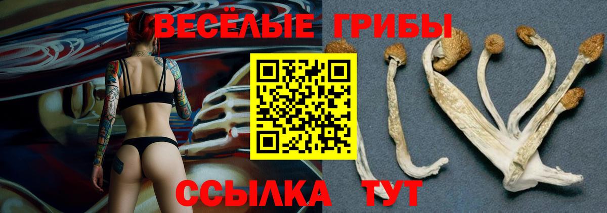 даркнет сайт  Галлюциногенные грибы мухоморы  Вход с VPN  Нижнекамск 